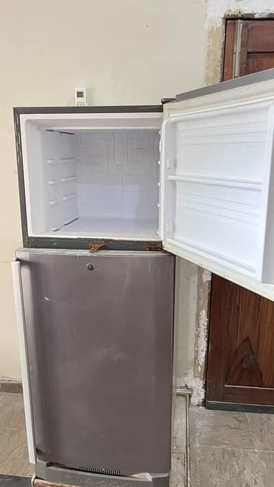 Kenwood refrigerators