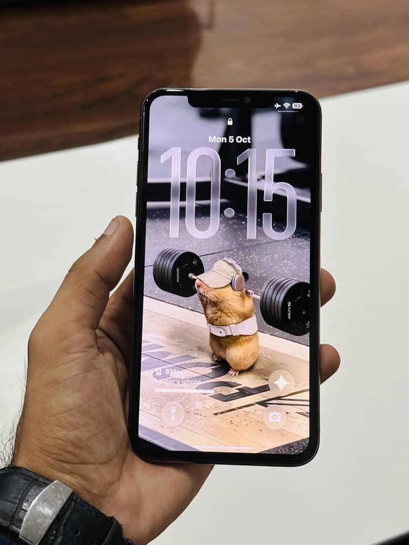 Apple iPhone 11 Pro Max 1