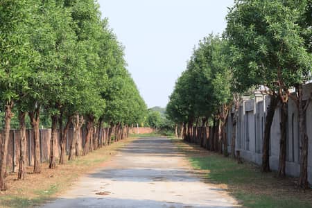 01 Kanal Plot At Paradise Farm House Gated Society Barki Road