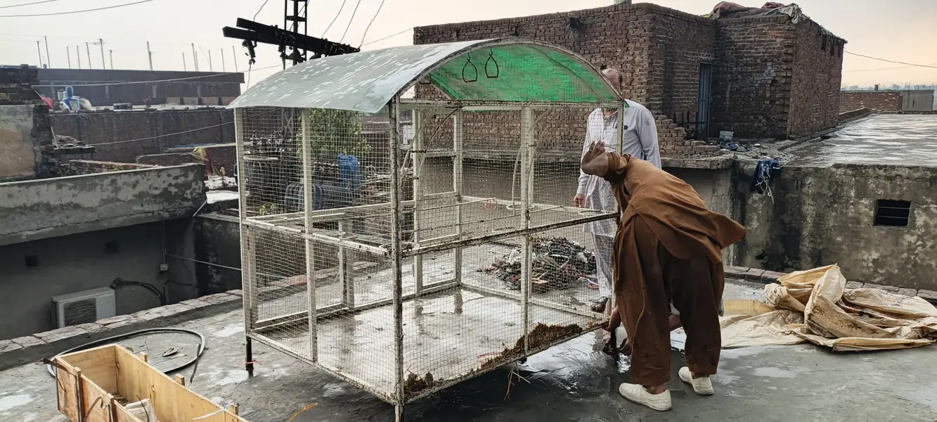 sold cage 7×5 — photo 2