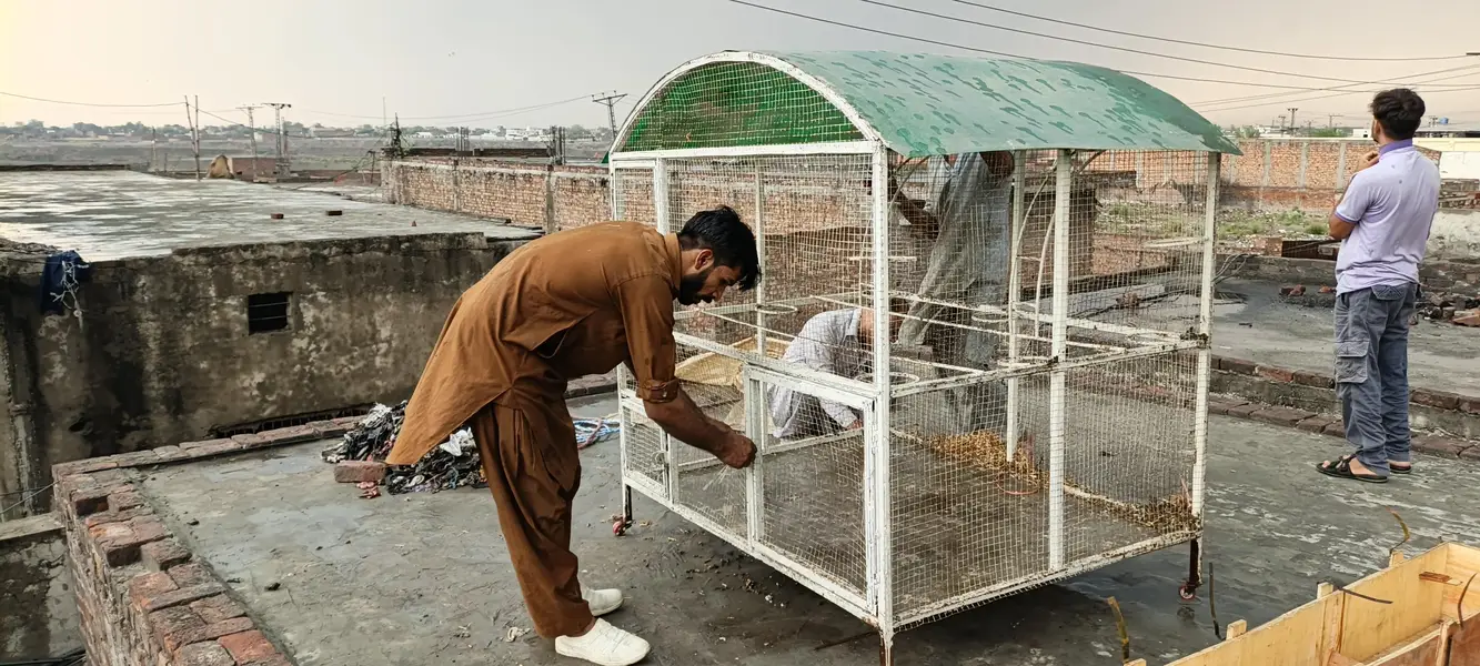 sold cage 7×5 — photo 4