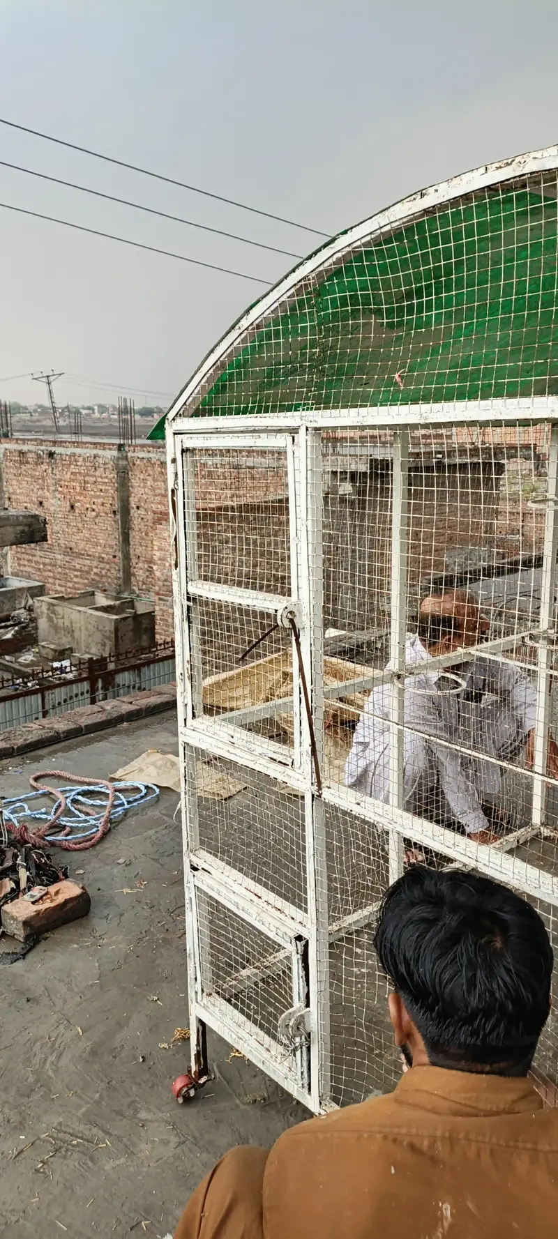 sold cage 7×5 — photo 6