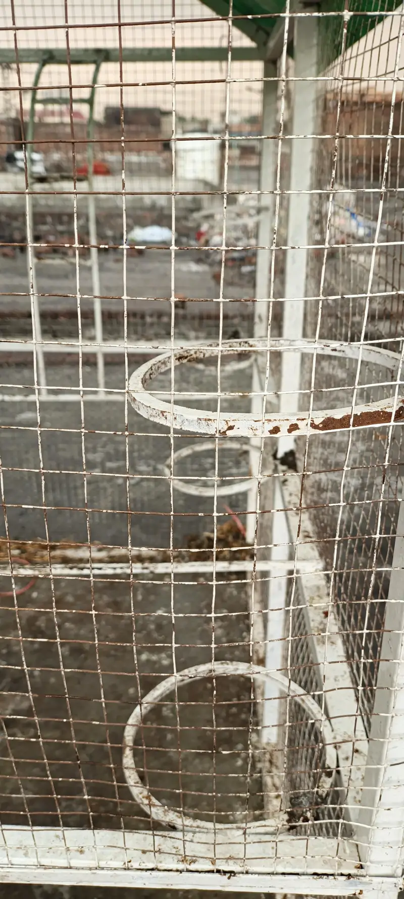 sold cage 7×5 — photo 7
