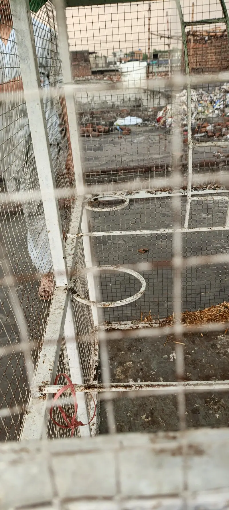 sold cage 7×5 — photo 8