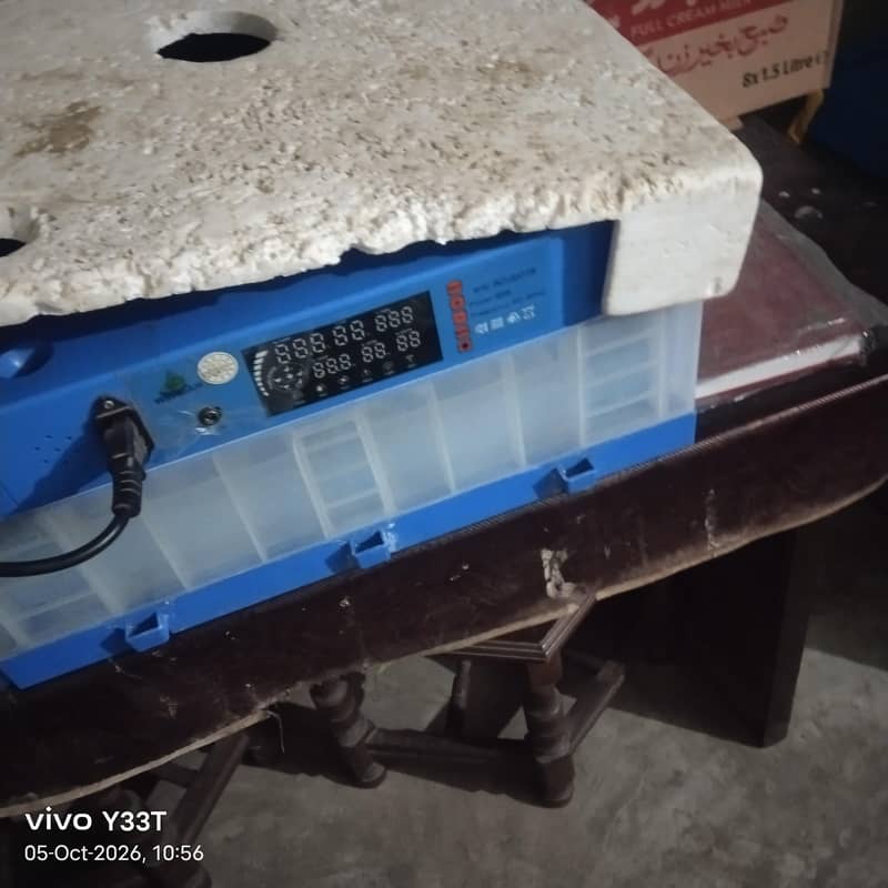 incubator 1