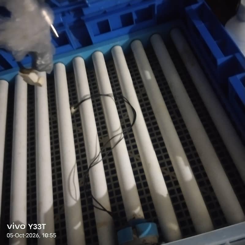incubator 2
