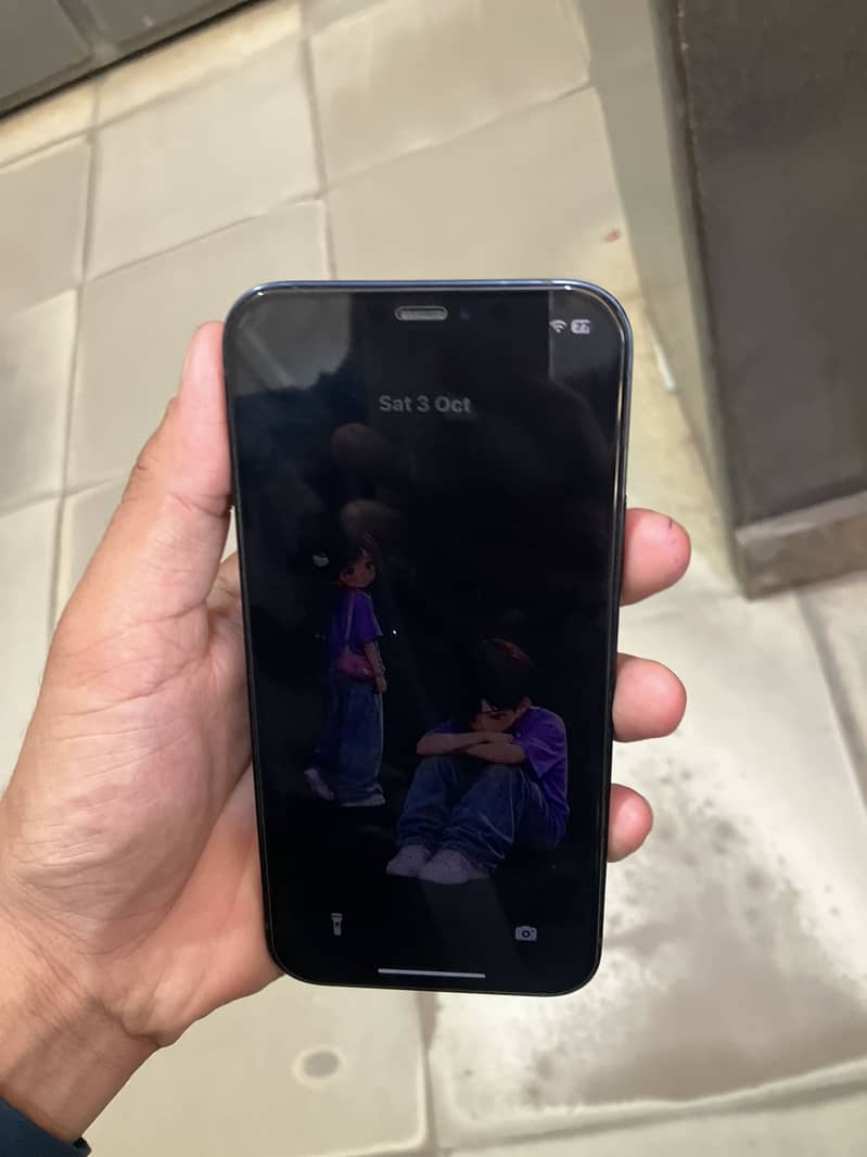 Apple iPhone 12 1