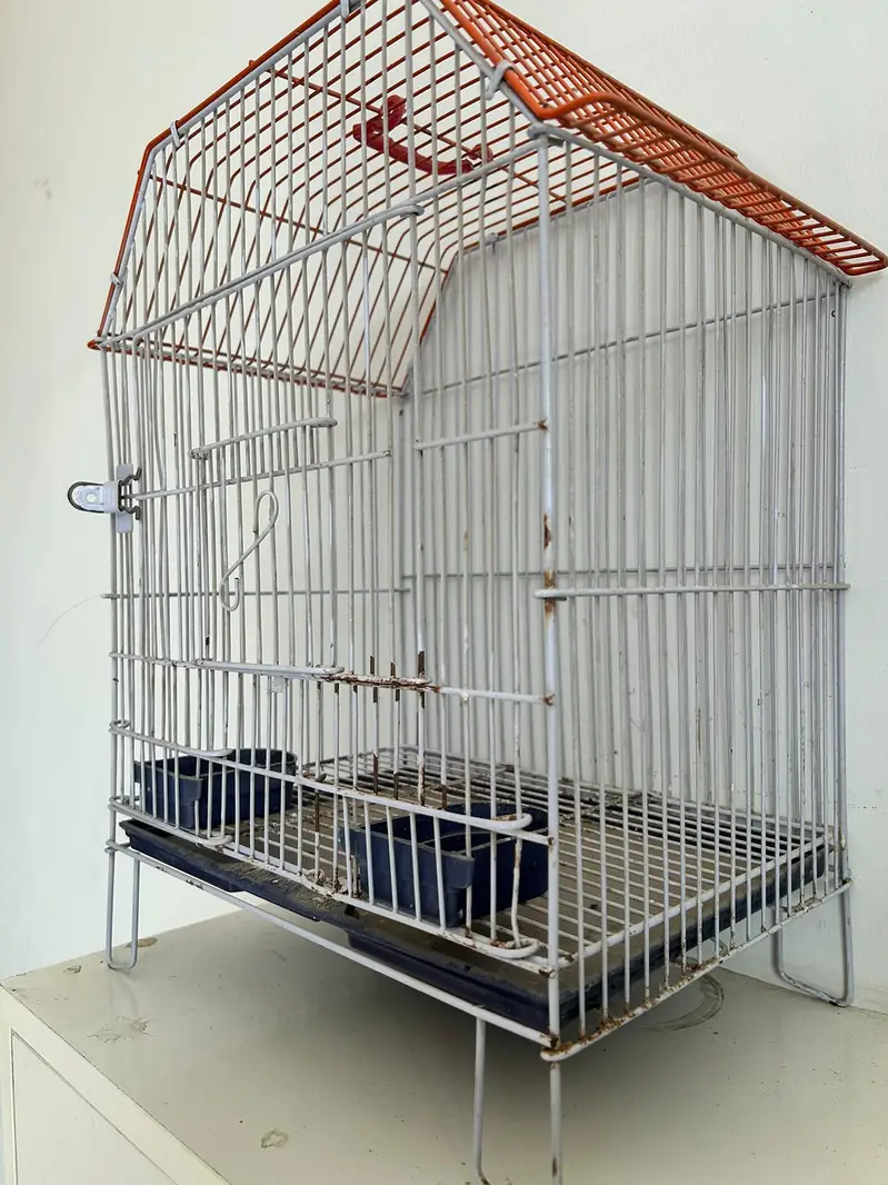 Bird Cage — photo 2