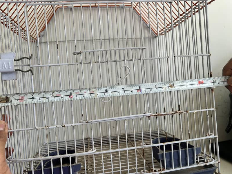 Bird Cage 2