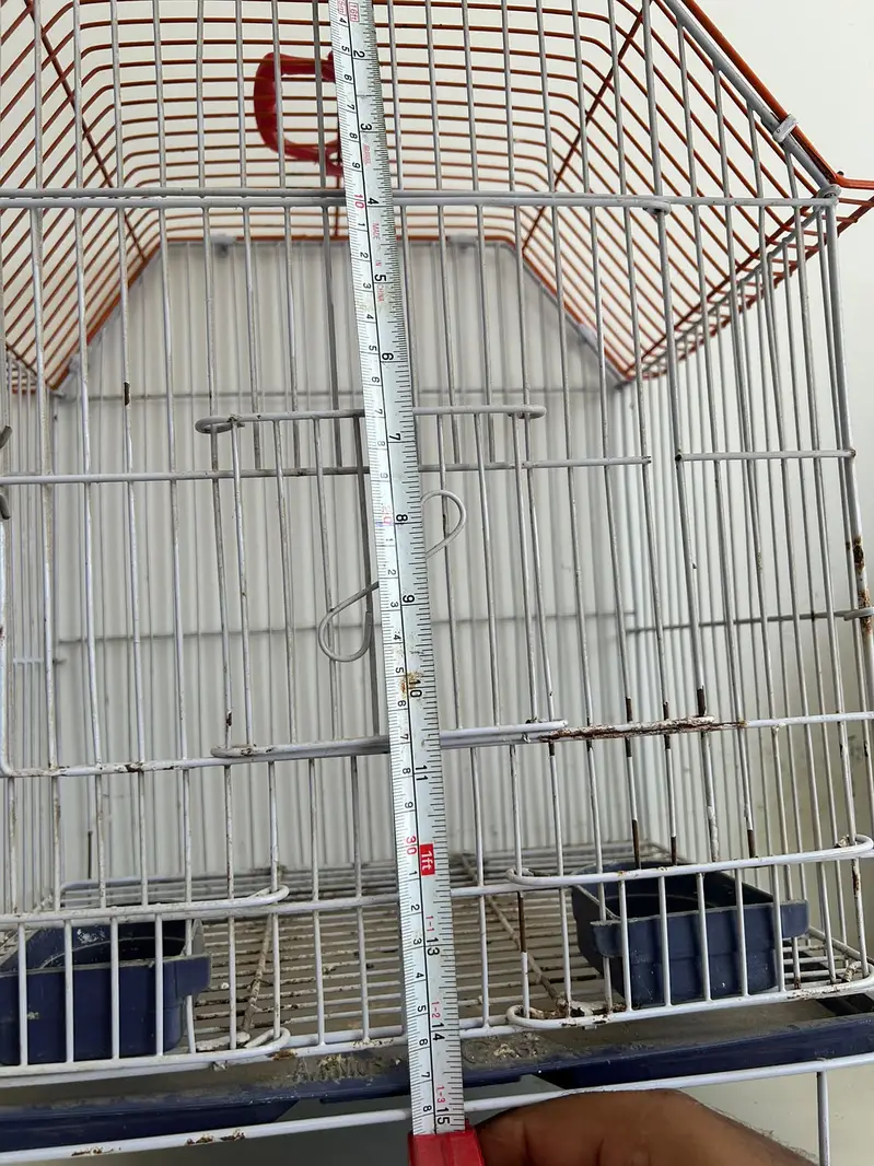 Bird Cage — photo 4