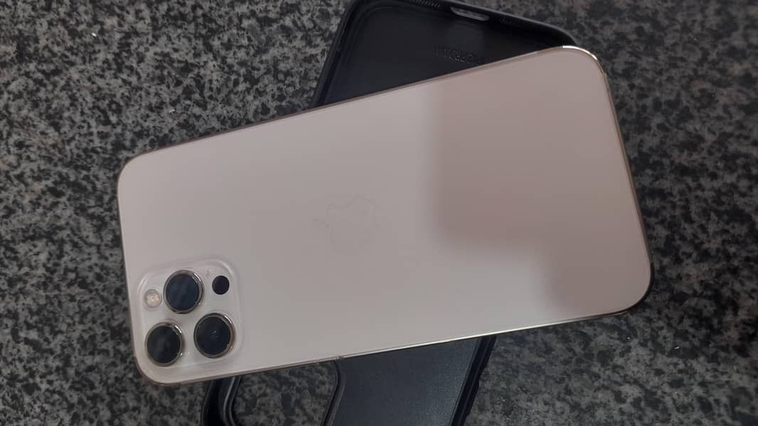 Apple iPhone 12 Pro Max 1