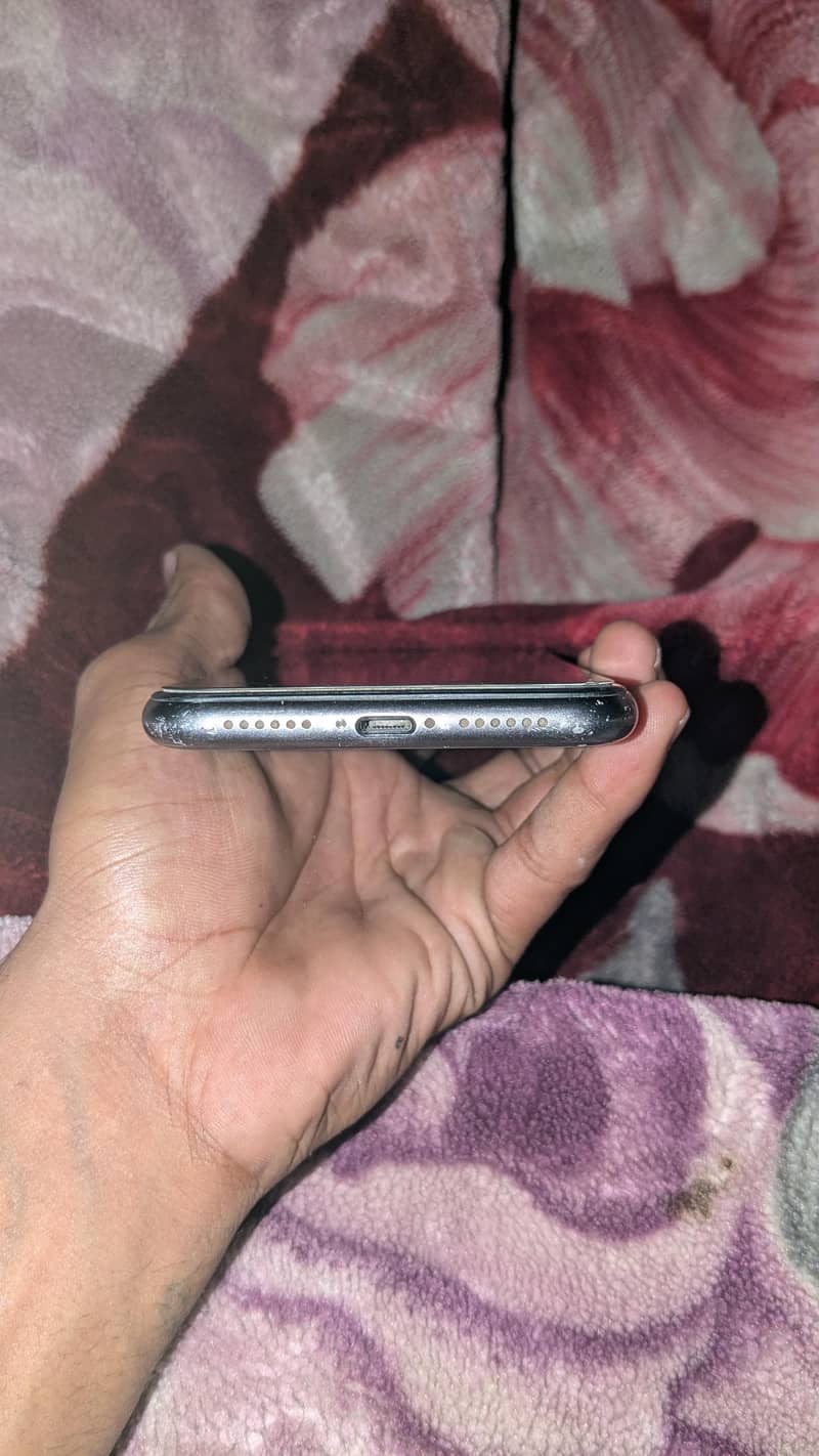 Apple iPhone 11 3