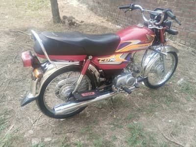 c70 2024.2025
