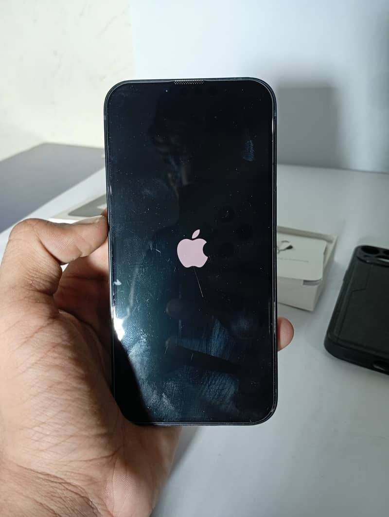 Apple iPhone 13 0