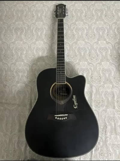 Semi Acoustics Guitar