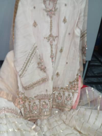 Naqshi brand Shirt garara dupta clutch.