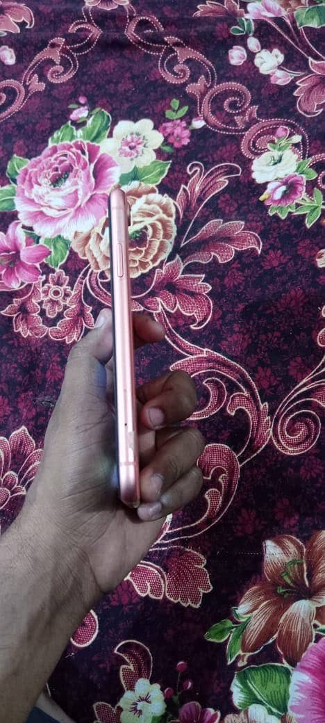 Apple iPhone XR 1