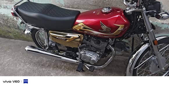 Honda 125 gold