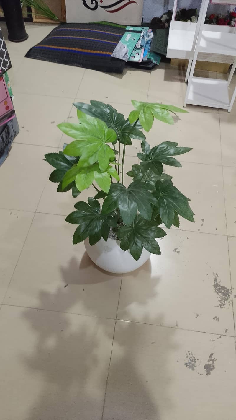 flower 0