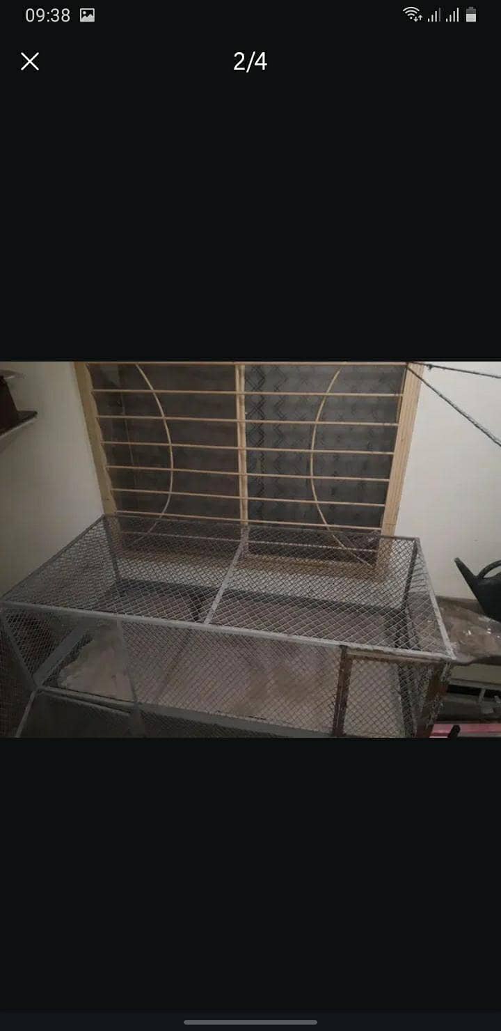 iron cage 1