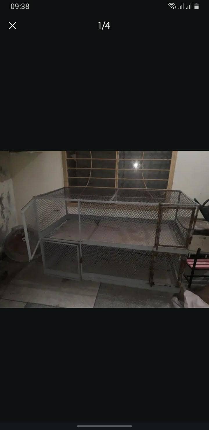 iron cage 2