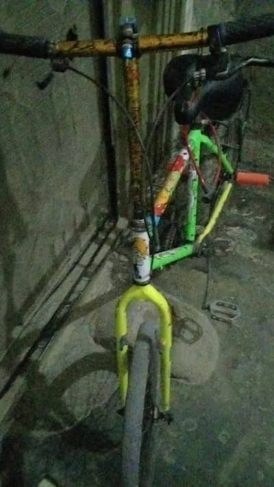 phoinx cycle 03284965998