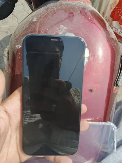 Apple iPhone 12 Pro Max pta