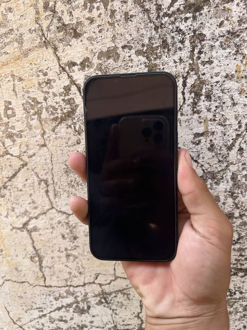 Apple iPhone 13 0