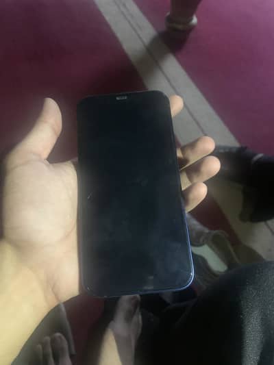 Apple iPhone 12