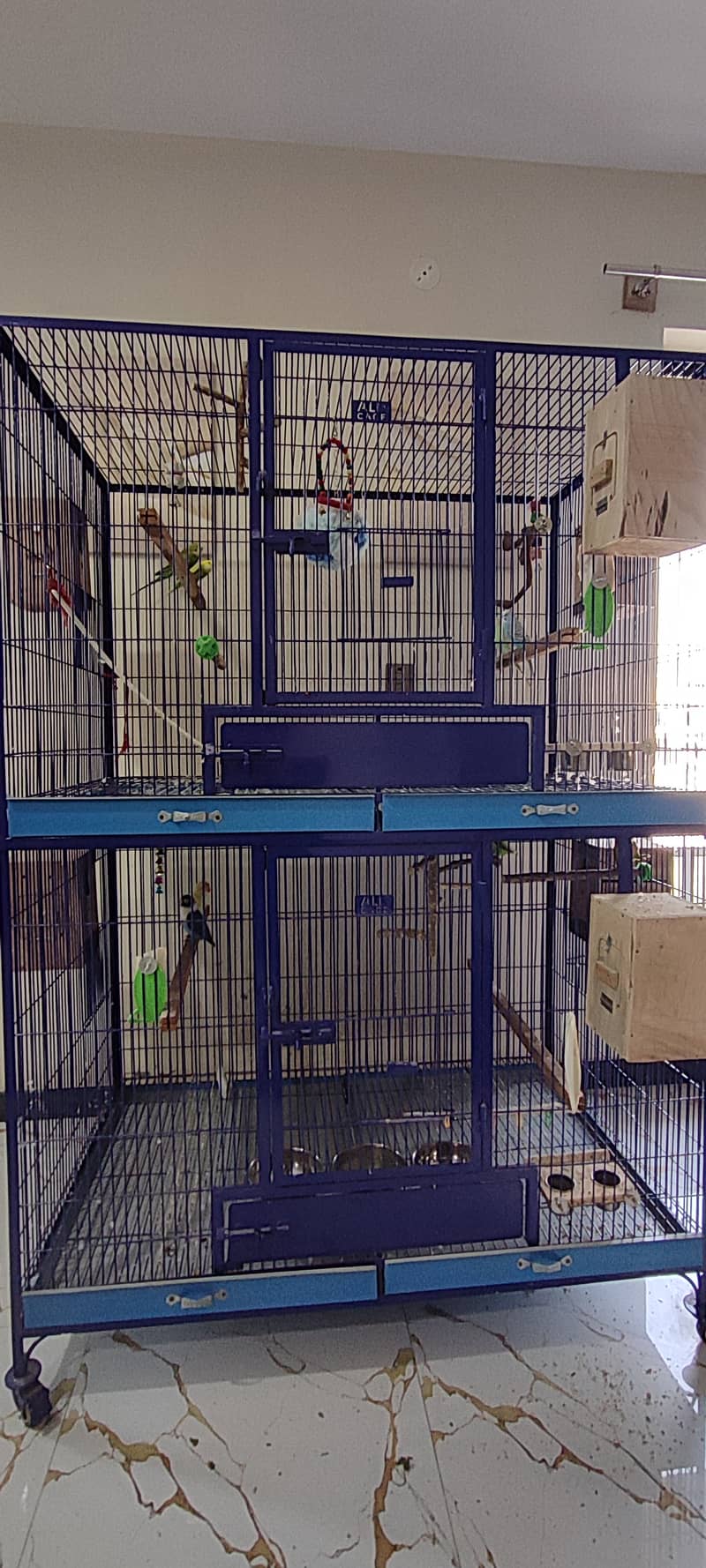 Extra Large & Solid Bird Cage + 9 Birds + Accessories, Complete Setup 0