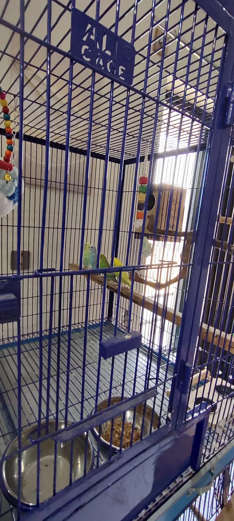 Extra Large & Solid Bird Cage + 9 Birds + Accessories, Complete Setup — photo 2