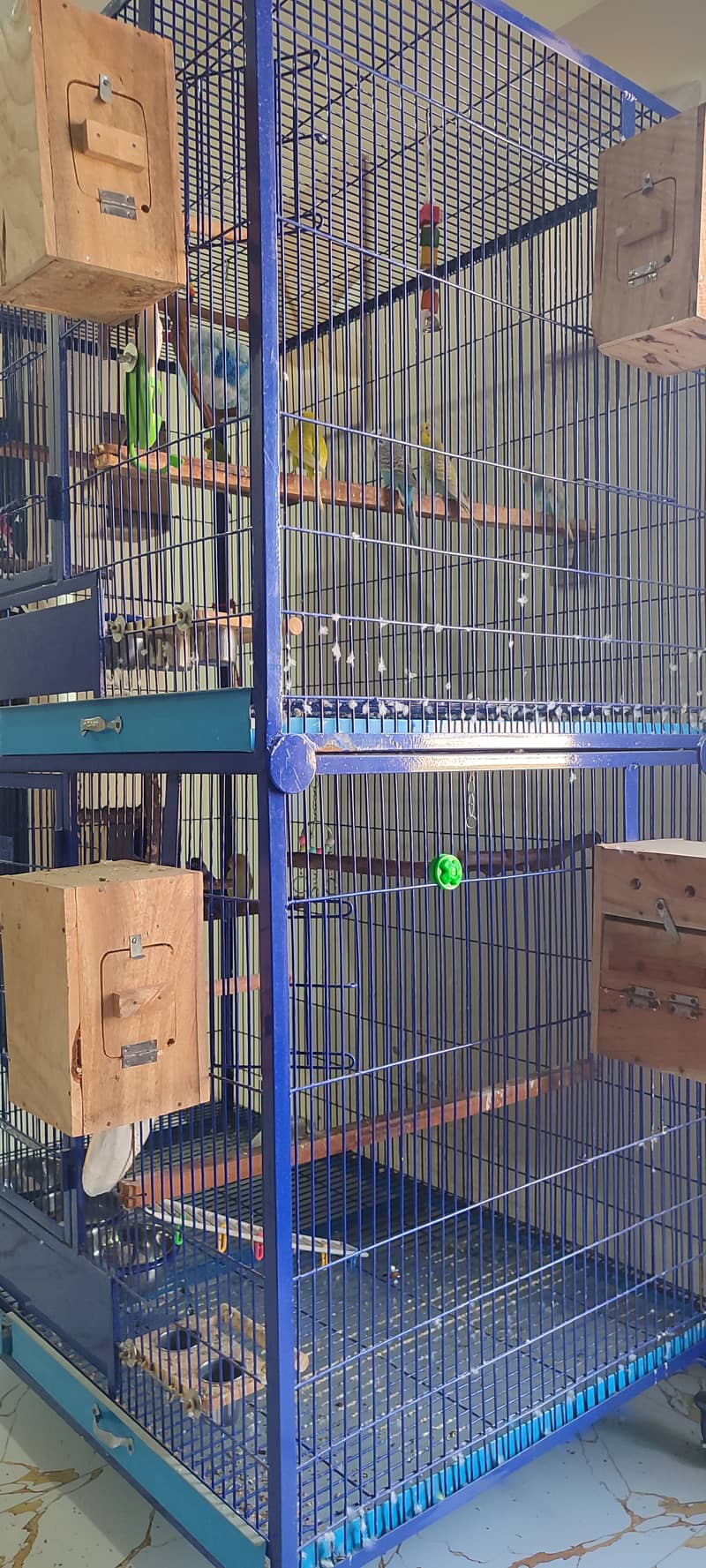 Extra Large & Solid Bird Cage + 9 Birds + Accessories, Complete Setup 2