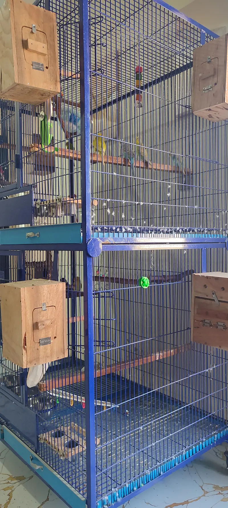 Extra Large & Solid Bird Cage + 9 Birds + Accessories, Complete Setup — photo 3