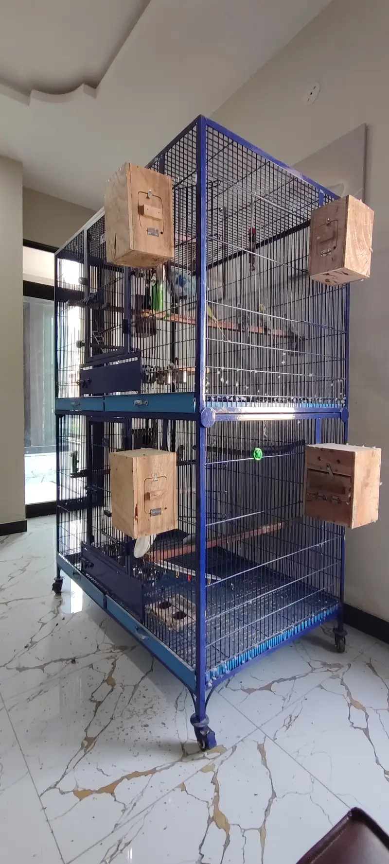 Extra Large & Solid Bird Cage + 9 Birds + Accessories, Complete Setup — photo 4