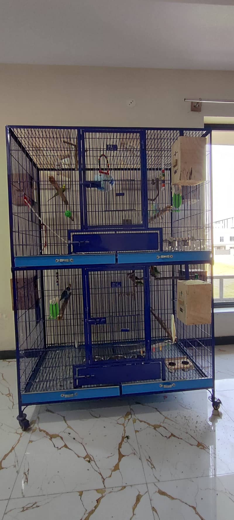 Extra Large & Solid Bird Cage + 9 Birds + Accessories, Complete Setup 4