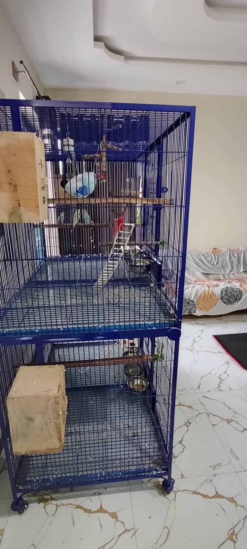 Extra Large & Solid Bird Cage + 9 Birds + Accessories, Complete Setup 6
