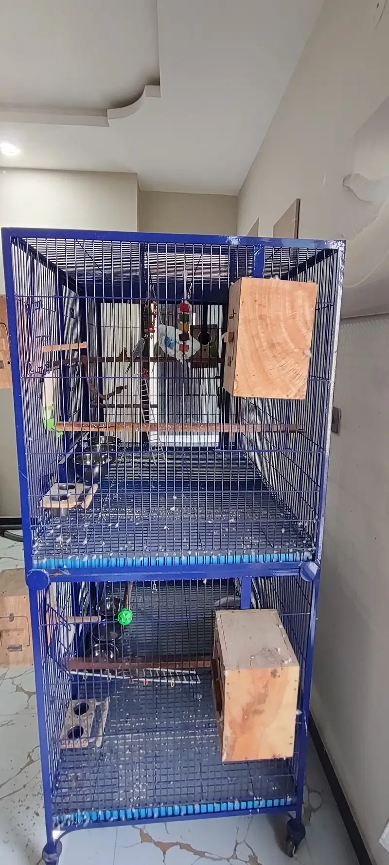 Extra Large & Solid Bird Cage + 9 Birds + Accessories, Complete Setup — photo 8