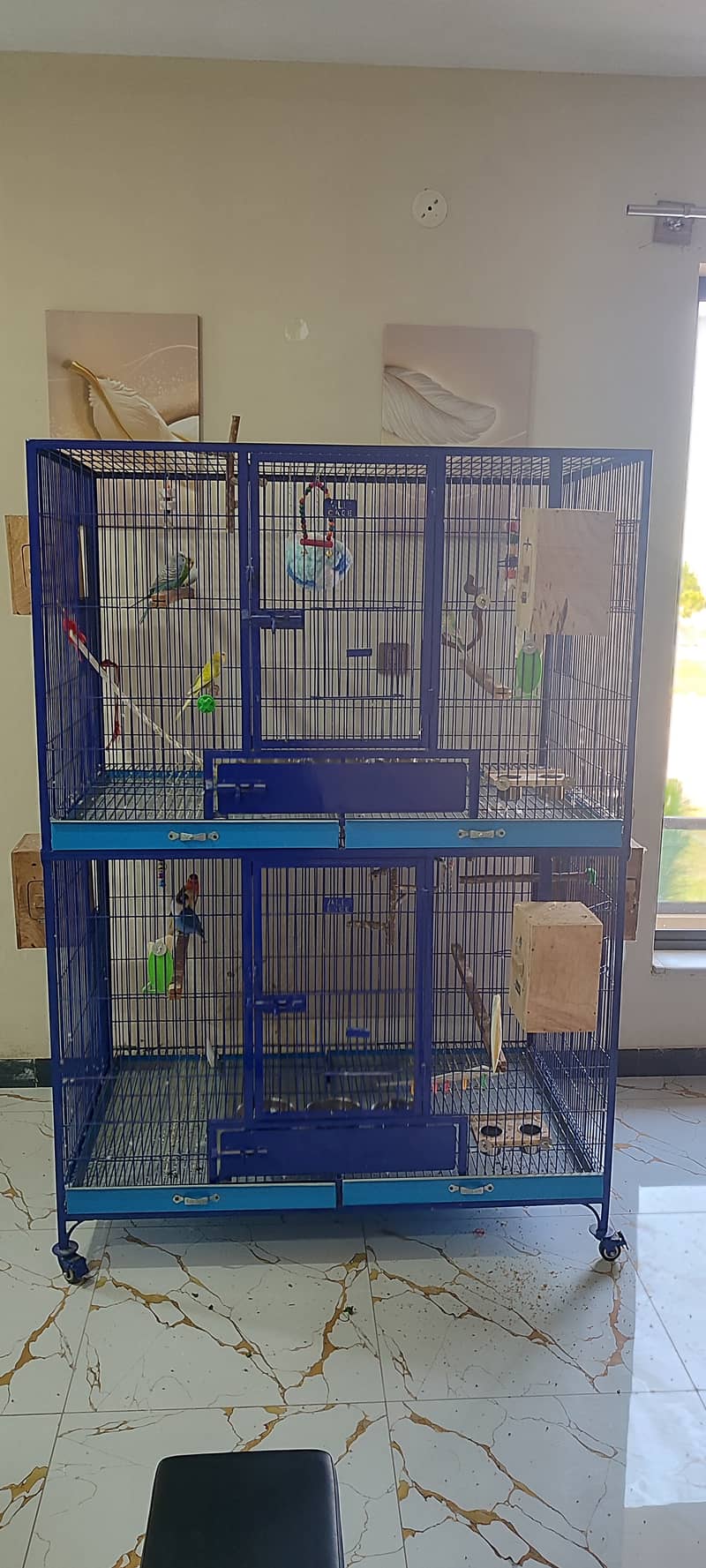 Extra Large & Solid Bird Cage + 9 Birds + Accessories, Complete Setup 9