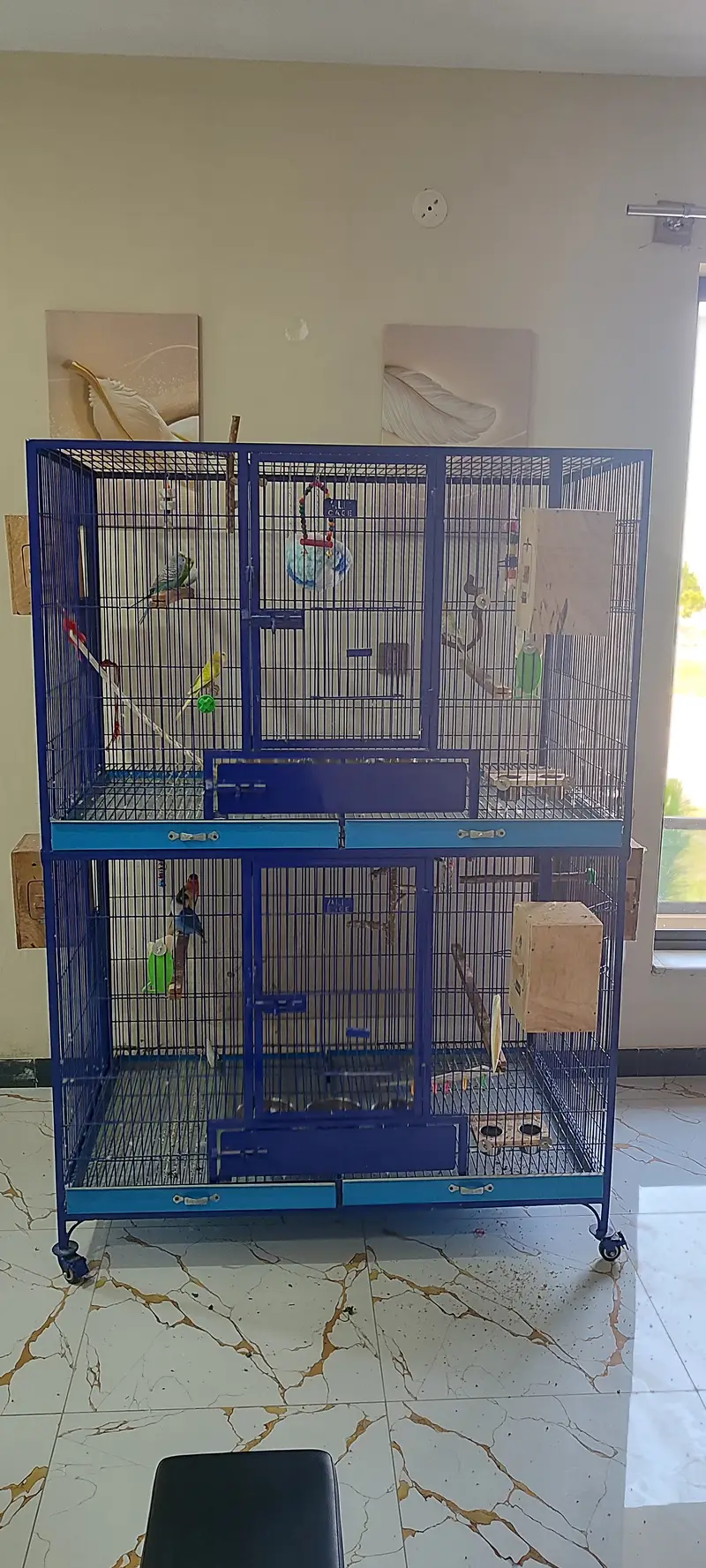 Extra Large & Solid Bird Cage + 9 Birds + Accessories, Complete Setup — photo 10