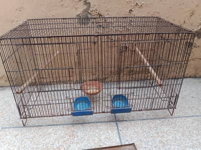 3*1.5*1.5 foot folding cage available. contact number 03330031118
