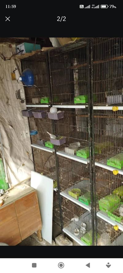 Birds Cages For Sale Tower Shape