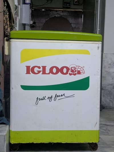 igloo deprezar good condition
