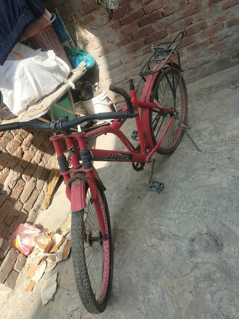 Red cycle 0