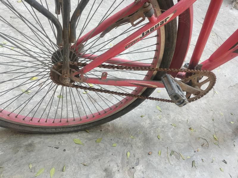 Red cycle 1