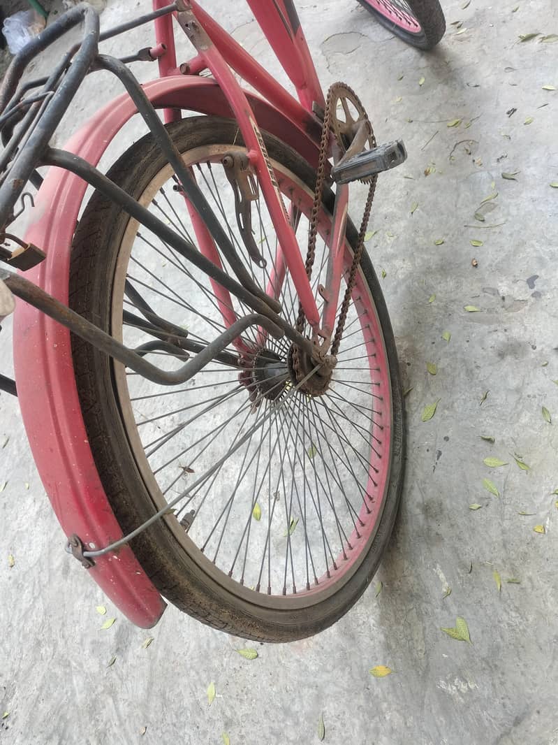 Red cycle 2