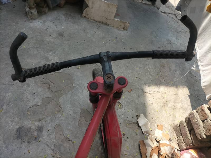 Red cycle 4