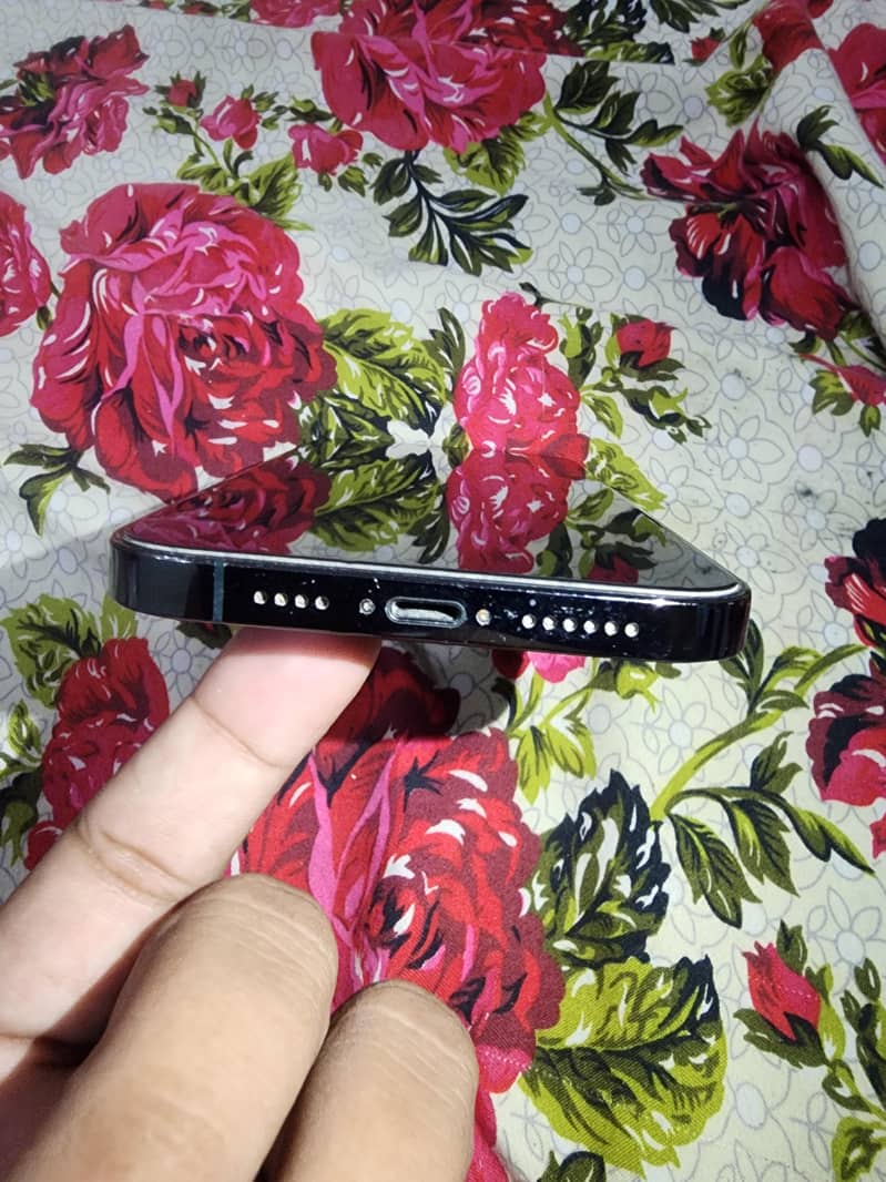Apple iPhone 12 Pro Max 2