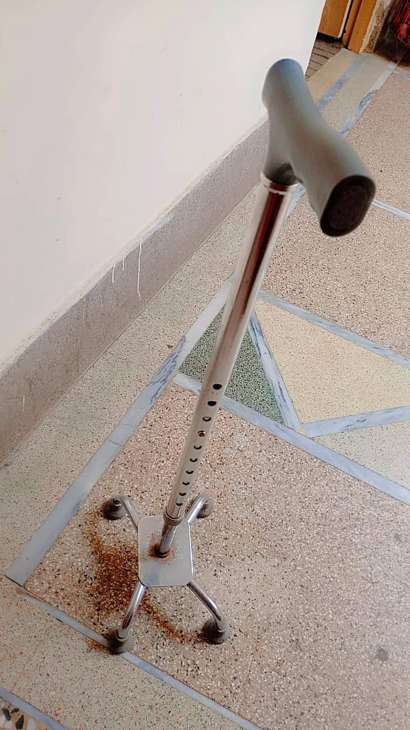 walking stick / cane 0