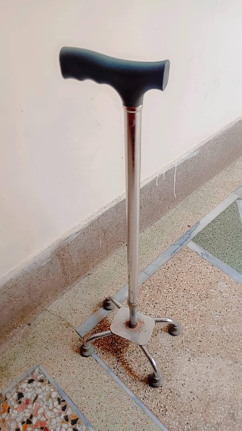 walking stick / cane 1