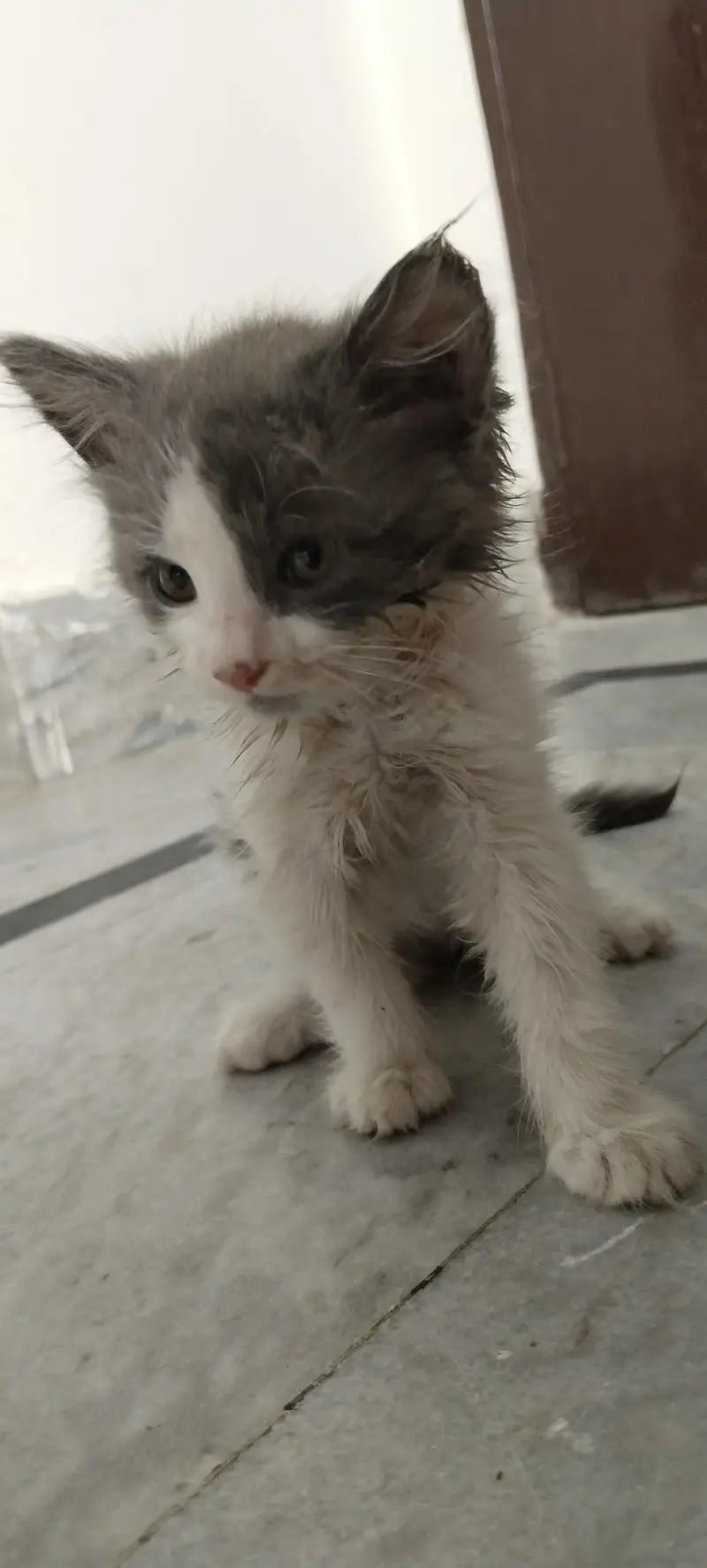 Argent sale krna hain hum log yahna say shift ho rhy hain — photo 7